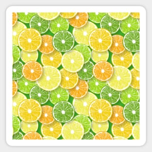 Citrus fruit slices pop art 3 Sticker